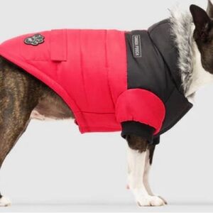 Stylish Red and Black Dog Jacket